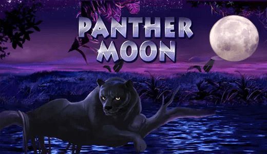 PantherMoonPTM